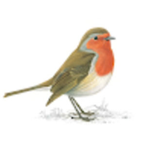 Meet your Posher, Robin